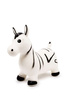 Skákající zebra