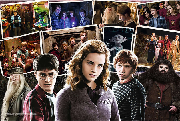 Puzzle Hermiona Harry Potter Kouzelnický svět Trefl 160 prvků