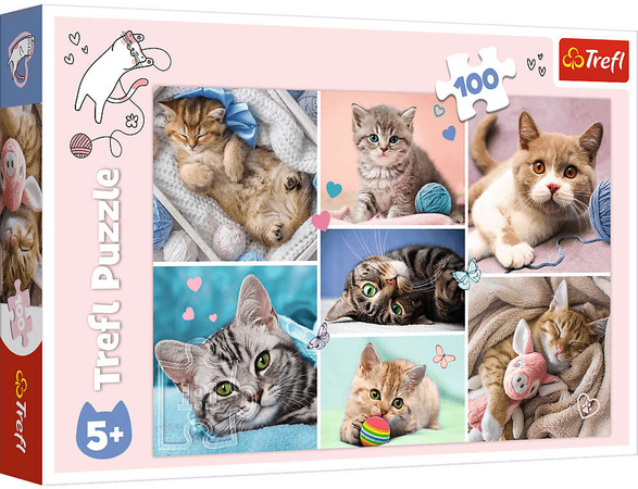Trefl Puzzle 100 V kočičím světě