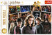 Puzzle Hermiona Harry Potter Kouzelnický svět Trefl 160 prvků 