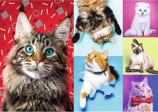 Trefl Puzzle 1000 prvků Veselé kočky