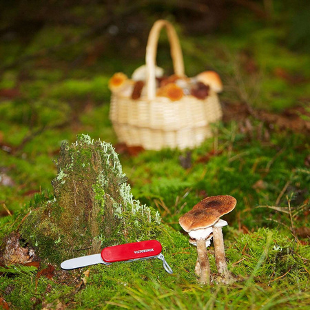 Švýcarský armádní nůž Victorinox kapesní nůž pro děti Klein