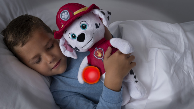 Tlapková patrola Mluvící maskot Marshall s nočním světlem 29cm