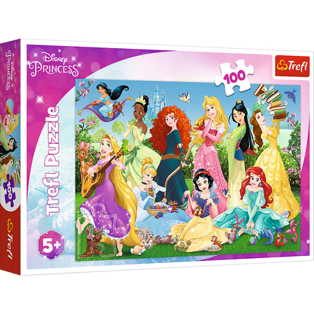 Puzzle okouzlující princezny 100 dílků