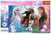 Puzzle Frozen Magic Time Trefl 300 prvků