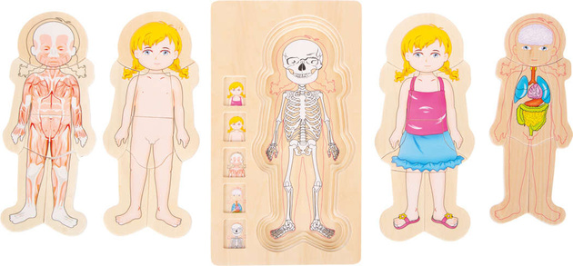 Dřevěné vrstvení puzzle anatomie těla dívka