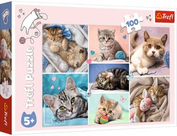 Trefl Puzzle 100 V kočičím světě
